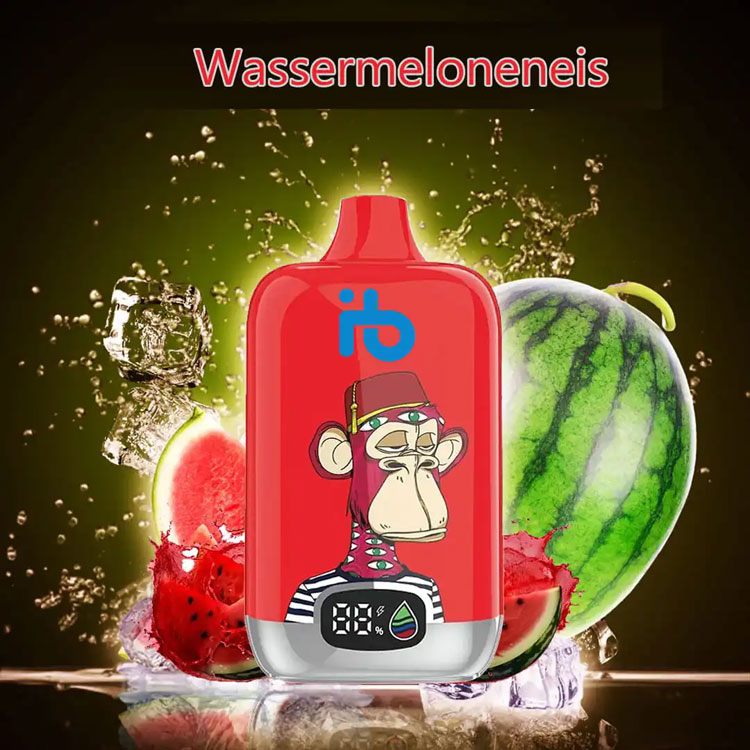 e-zigarette dominikanische republik 2024 - Aktuelle Regelungen, Einfuhrbestimmungen und praktische Tipps für Reisende