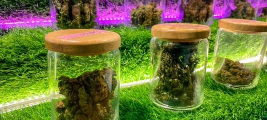 e shisha batterie kaufen – Test, Akkulaufzeit, Sicherheitstipps und passende Ersatzakkus